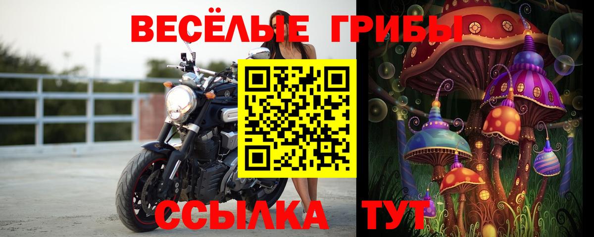 Псилоцибиновые грибы ЛСД Великие Луки